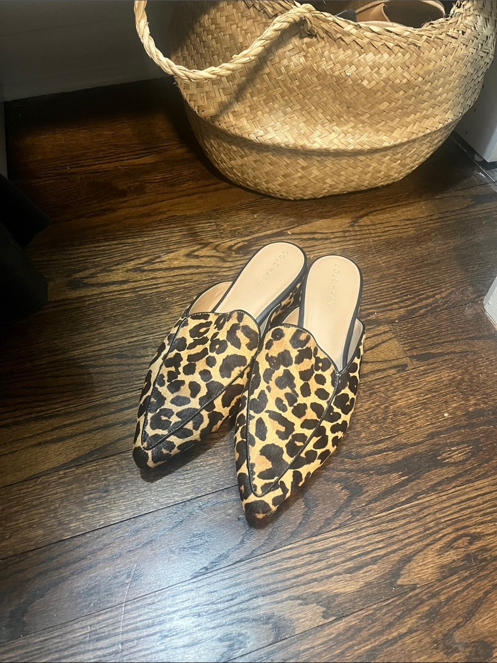 Leopard Print Pointed-Toe Slip-On Mules - Tan/Black